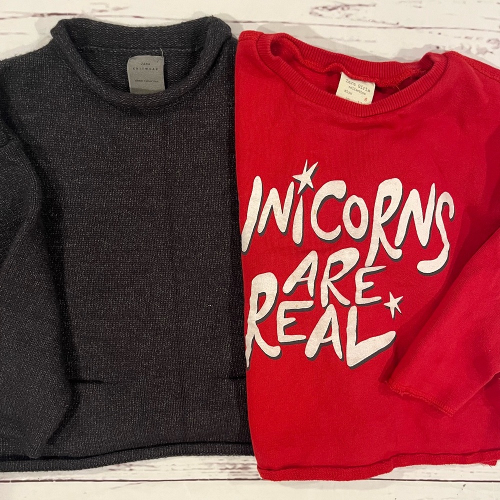 Lot of two Zara girls sweaters